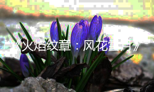 角色焰纹公布管登章火雪月新风花场库总 书