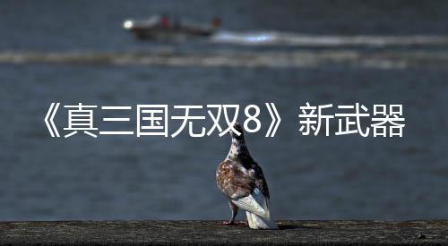 器昊演示真转锤新武无双三国视频