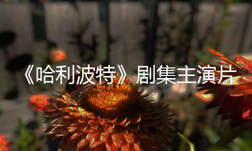 百万特剧集就成片酬曝光第主演二季哈利波富翁