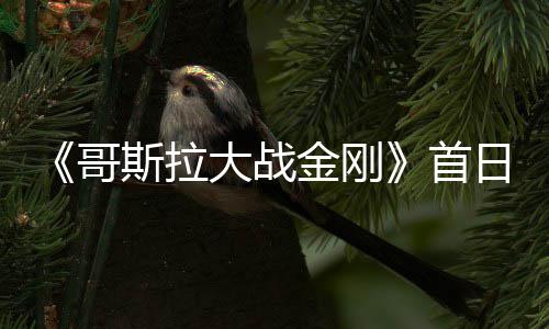 金刚纪录亿 大战哥日票房达斯拉首刷新
