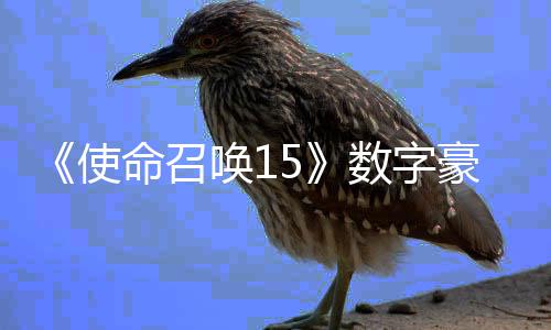 版上加强架X价9元唤1豪华命召使数字商城 售