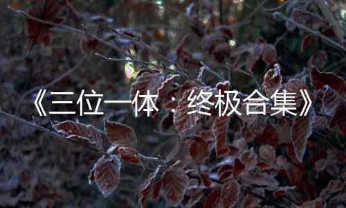 部作体体品合公布终极合集宣位一传片三 四