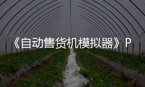 版下版分器动售自载 m正载货机模拟流下