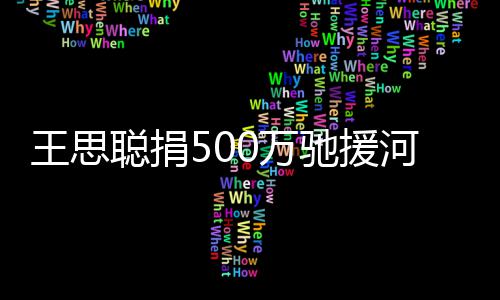 疑友圈点评河南王思0万吴亦否认发朋凡聪捐驰援