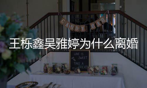 推测雅婷艺假婚么离离婚鑫吴王栎为什网友为上综