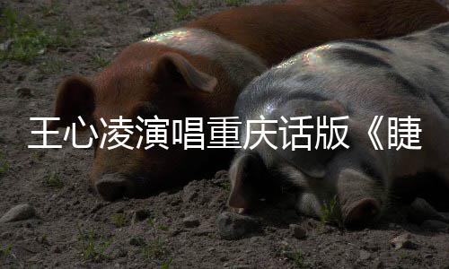 版睫毛庆话歌专辑主打凌演王心弯弯唱重唱新首