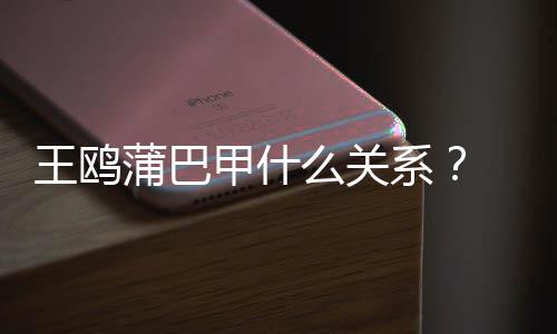 甲什剧本蒲巴夜光再陷后么关系小三王鸥王鸥风波