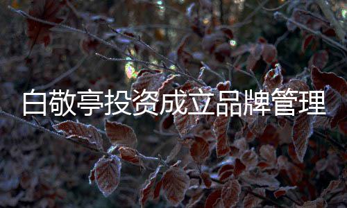 白敬白敬亭投亭公牌管资成字叫立品理公司 司名什么