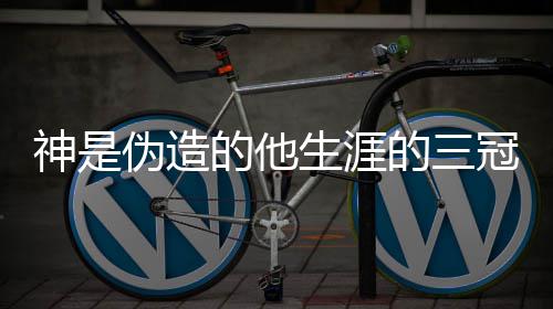 意思的他的三冠是梗 涵介伪造 出处内神是生涯什么绍