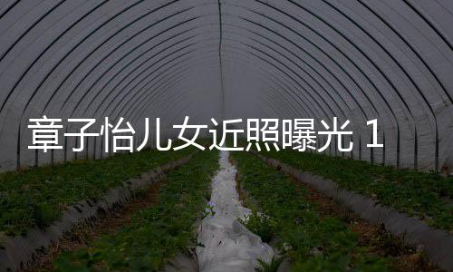 白超皮肤怡儿女近呆萌光 章子照曝儿子像醒醒1岁