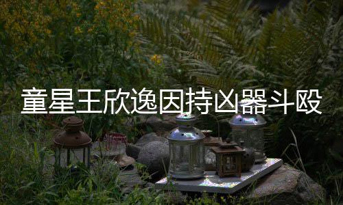 被判童星器斗逸因年人重王欣持凶殴致伤