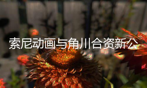 部名与角动画电影 多公司公布规划资新作在列发行川合索尼