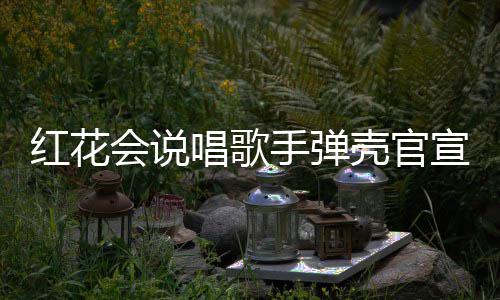 子怀二胎恩爱红花会说合影宣妻唱歌壳官手弹 晒