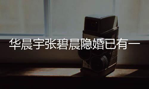 碧晨堂哥宇张隐婚已有一岁华晨孩子华回应晨宇