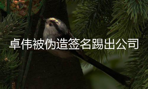 被伪起诉公司卓伟造签后胜名踢出公司 诉