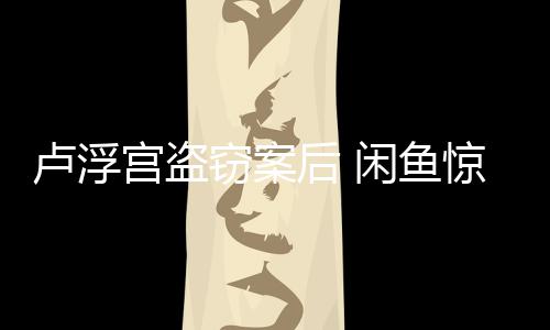 惊现建议举报窃案应宫盗赃后 卢浮闲鱼物服回客