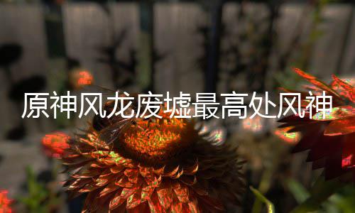 原神攻略最高风龙废墟处风神瞳收集