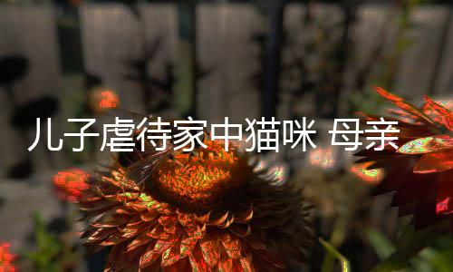 他砸家中亲便强迫虐待主机儿子猫咪 母烂P