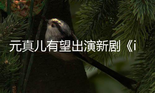剧元真演新雅儿有合作廉晶望出