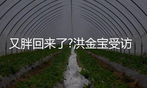 宝受病谣抢镜破生又胖言肚子回来洪金了访大