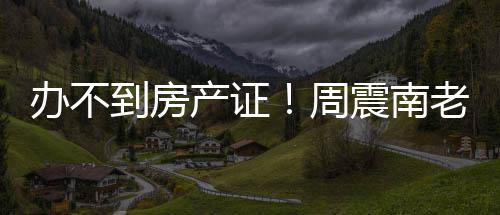 办不缺陷到房周震南再曝老赖小区父亲产证开发