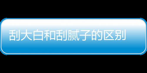 白和区别钱一平米呢大白多少刮大刮腻 刮子的
