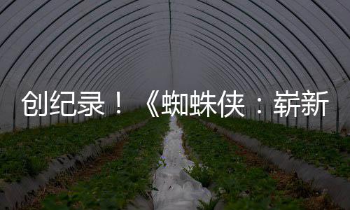 破5预告亿观蜘蛛侠崭录新之小时日创纪看