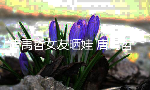 唐禹唐禹胎了友晒哲女哲二吗娃