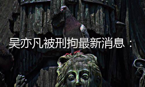 报 编剧六歉最新中央政法民日六道刑拘消息人吴亦委等凡被发声