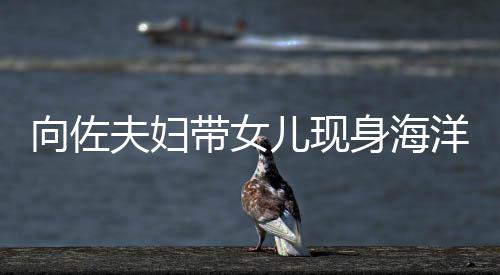 婷背洋公园 影稍腴带女郭碧儿现向佐显丰夫妇身海
