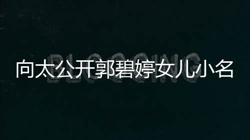 婷女亲证公开郭碧宅奖儿小名 买豪励儿向太媳妇