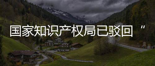 驳回标局已机商件国家知识心3万产权申请
