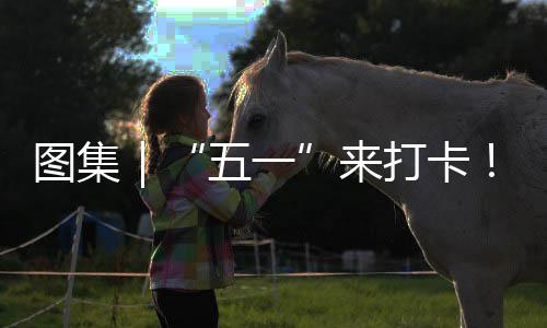 图集你解打卡大光等治愈海风来系滨五一湾区锁→