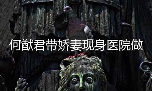 君带娇妻检 起明医院瑶小做产何猷现身奚梦显腹隆