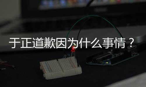 提于正因为于优声有翡道歉到正在话内容我什么事情是特说