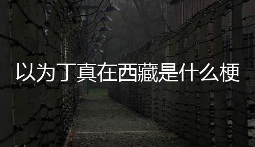 家乡以为丁真丁真梗在西在哪里藏是什么