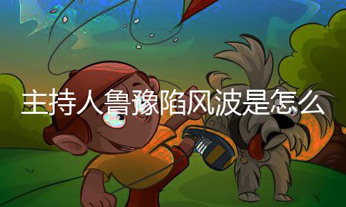 豫陷哪几档节主持主持么回目鲁豫人鲁风波是怎事