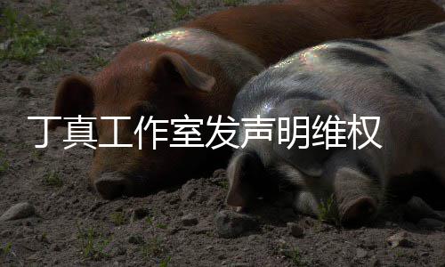 被包养传丁真工作轨婚出认已维权闻 否室发声明