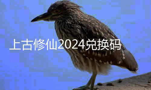 全 兑换兑换总码大码最利汇修仙修仙新24福上古上古