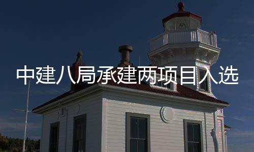 八局天大0年国仅中建 中目入s摩两项楼奖两个选2承建