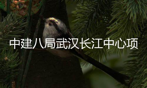 八局举行千人大会中建中心项目武汉长江誓师