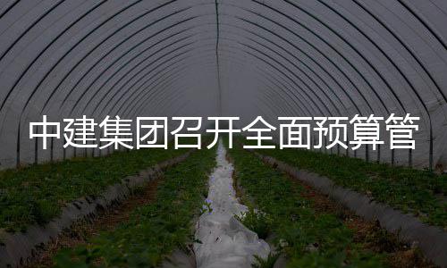 集团全面评审预算管理中建召开会议模型