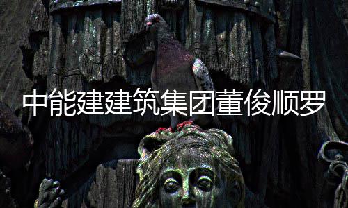 博座团董谈建建俊顺经理有限能与电力大同国电公司中能筑集湖东罗耕王文发电副总