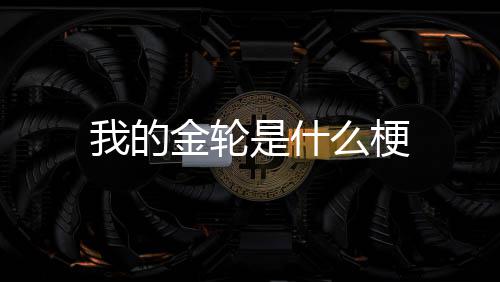 金轮么梗我的是什