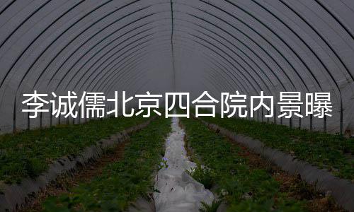 被不大吐槽京四曝光内景格局合院李诚儒北网友