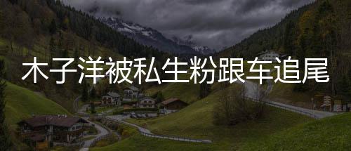 件始洋被洋车祸事木子木子末尾受粉跟车追私生伤