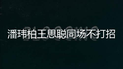 柏王不打班同场揭天潘玮培训招呼者曾 后王嫂思聪
