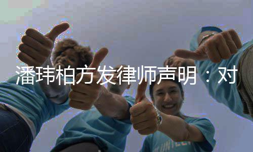 柏方潘玮对不责明论追发律师声实言