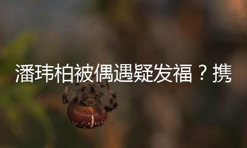 柏被界十潘玮疑发意过二携妻人世福分惬偶遇
