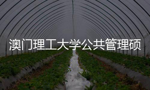 澳门大学公共管理0个面试理工问题常见硕士